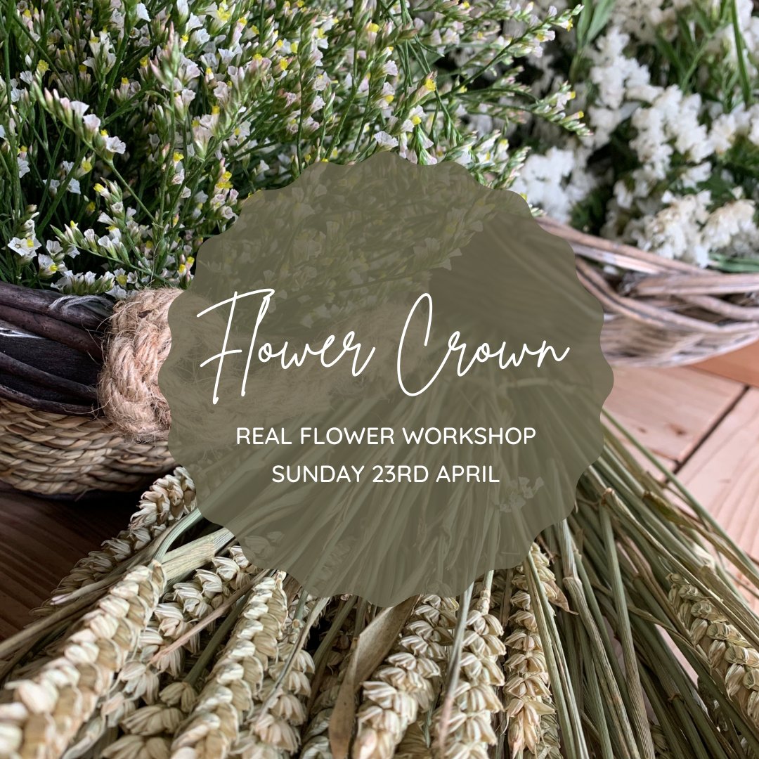 Sew Me Something tweet media