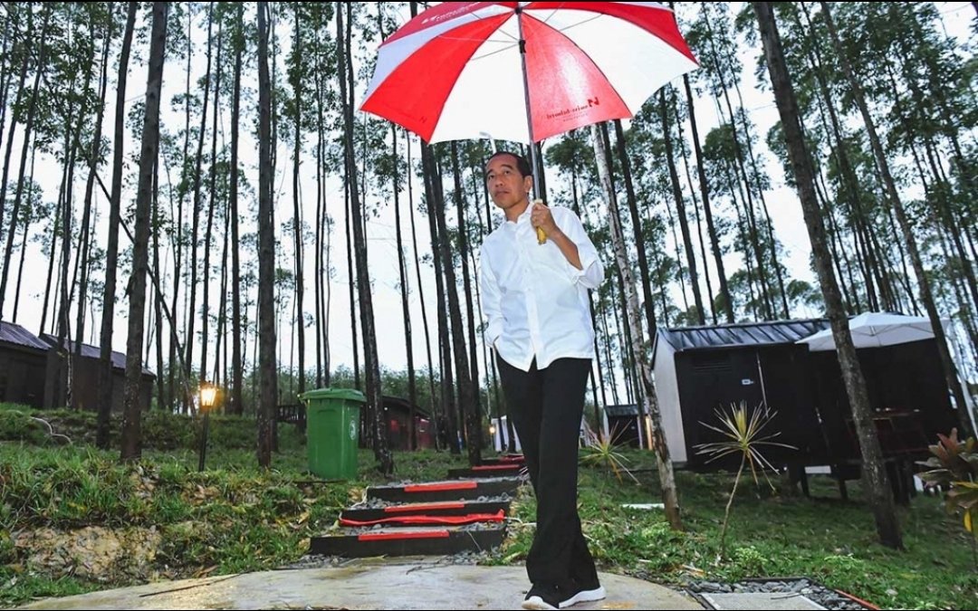 Jokowi tinjau IKN. Dilaporkan belum ada satupun bangunan yg berdiri. Ini artinya pengumuman yg sejujurnya kepada Dunia.