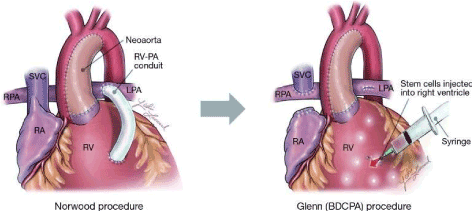Core Biogenesis tweet media