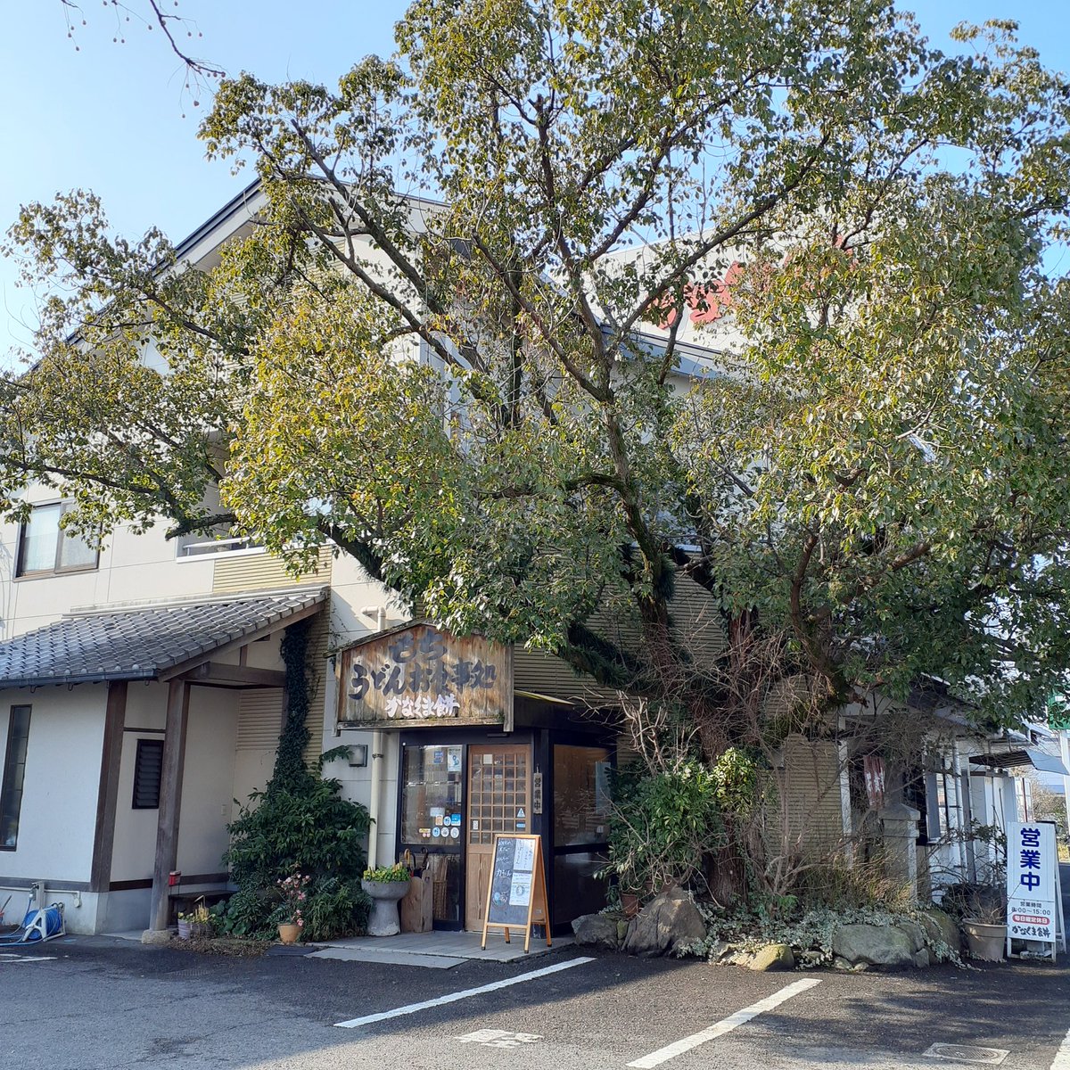 『最強のたし算』 出汁 薄目 ほんわか♪ 麺 細めの 正統観音寺の味w つるんと消えるww 『餡餅天ぷら が有名』 甘党観音寺市民たちを魅了し続ける 笑っ 【旨みMAXは 】 好きな饂飩に 通称『あんてんトッピング』 食は しっぽくに餡天 相性最強💪 オンリーワンの絶品うどんにwww #かなくま餅11号線