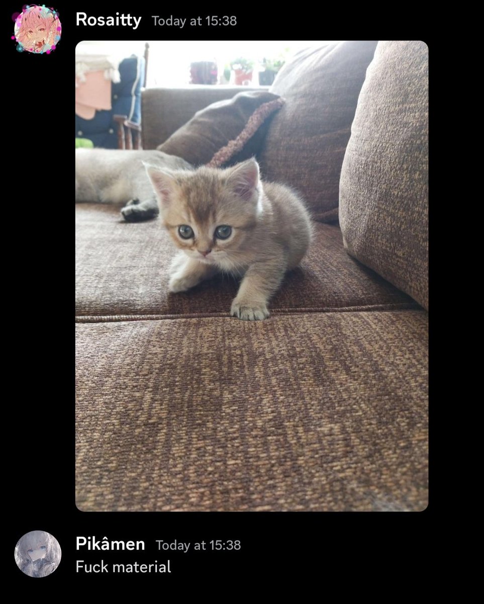Rosaitty tweet media