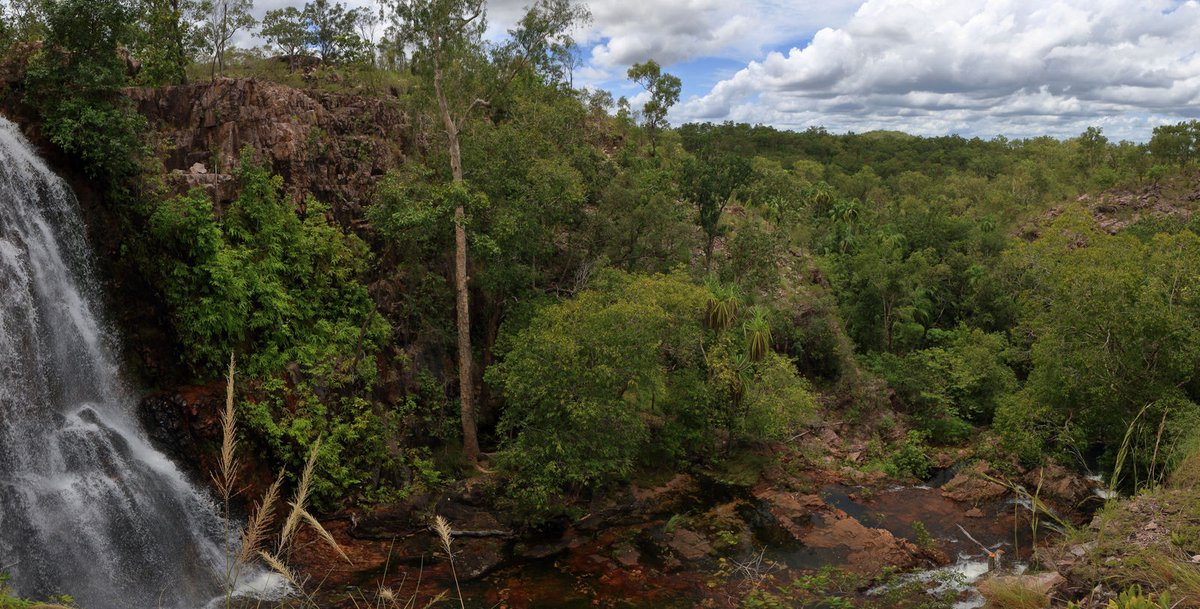 A photo from a relatively sunny Litchfield from last weekend (to make up for the non-stop rain today). Tjaetaba Falls. There are a few nice pools at the top too.