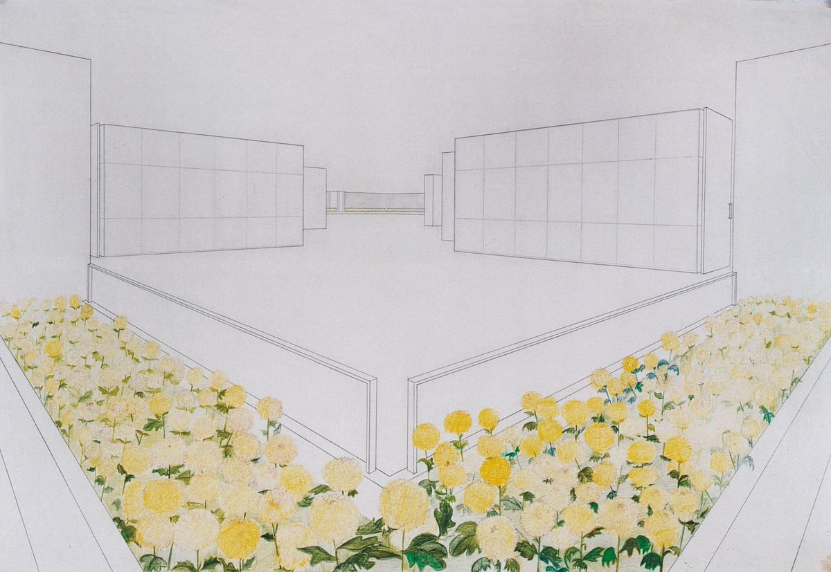 Pablo Williams tweet media