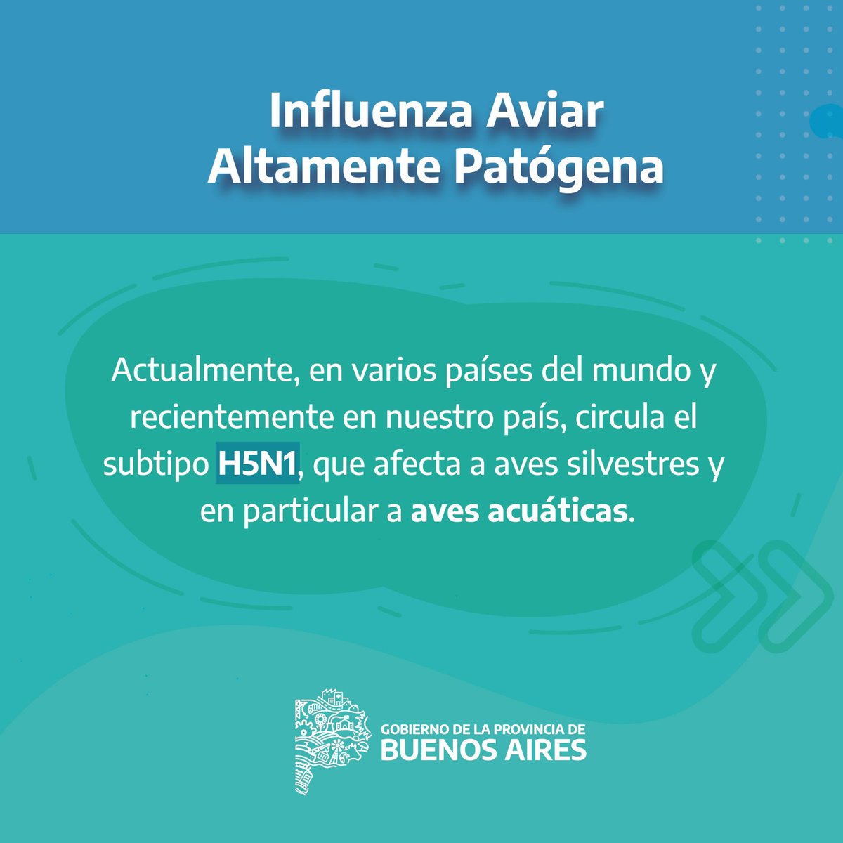 SaludBAP's tweet photo. 🐦 | HABLEMOS DE GRIPE AVIAR  

Frente a la aparición de nuevos casos en aves silvestres y de traspatio en @BAProvincia, compartimos información útil y las medidas de cuidado correspondientes. https://t.co/AGz8pZaVaw