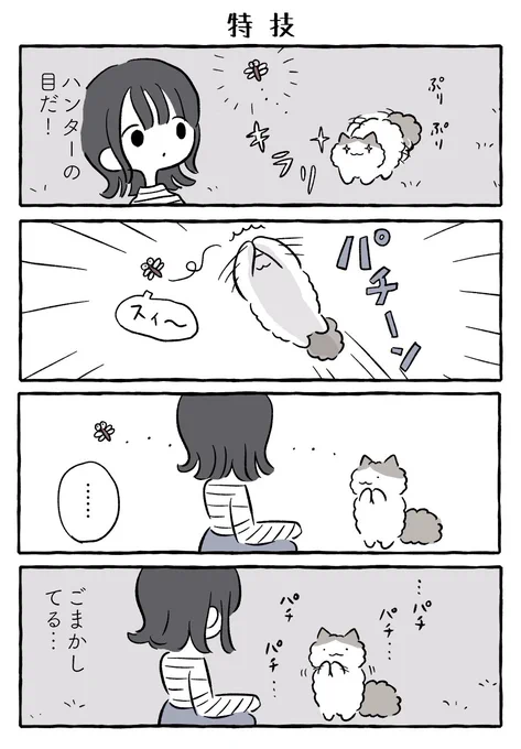 まーちゃんの特技 