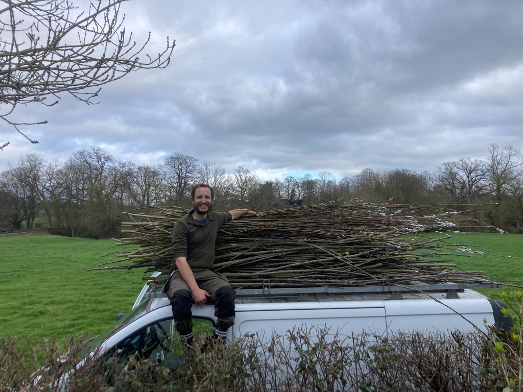 The last Apple tree prune of the season for a regular customer prior to nesting season. Removing approximately 5 years of growth plus plenty of thining out.👍🏻🍎
