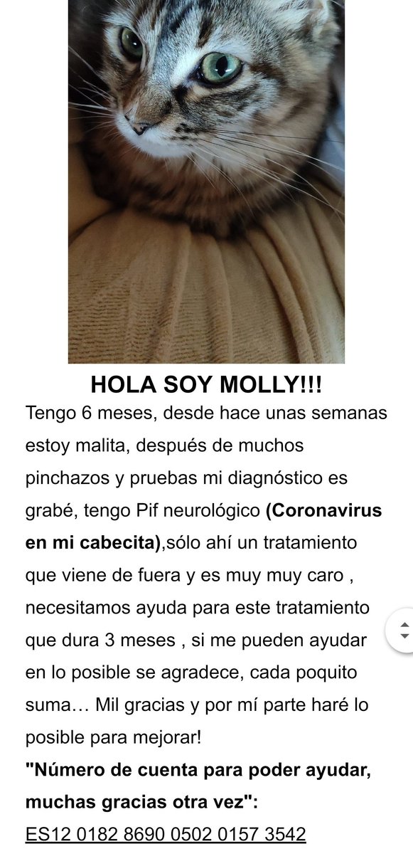 ♊NOA♊🇪🇦 (@cristinanoa01) on Twitter photo 