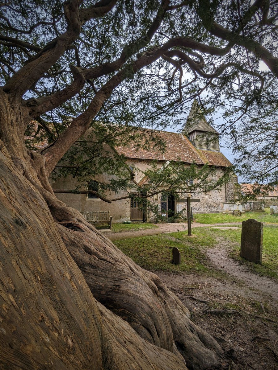 Ryan Gearing tweet media