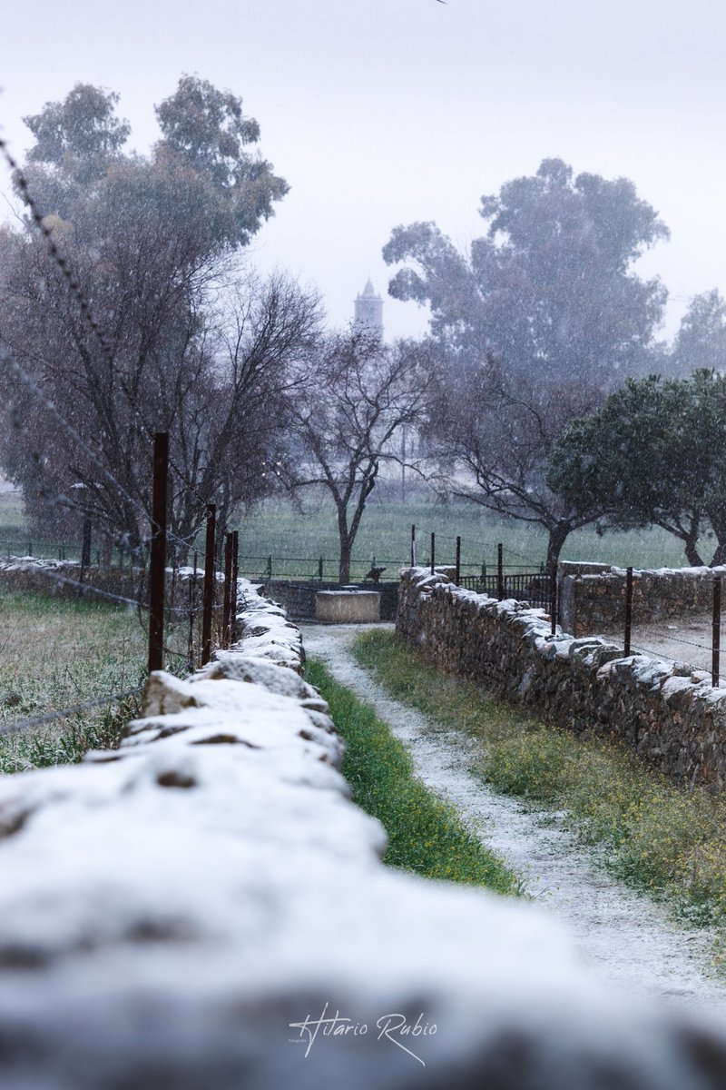 Verde, blanca y verde.
Ay, qué bonica
Verla en el aire
Quitando penas
Quitando hambres
Verde, blanca y verde.
Amo mi tierra
Lucho por ella
Mi esperanza
Es su bandera
Verde, blanca y verde
Verde, blanca y verde.