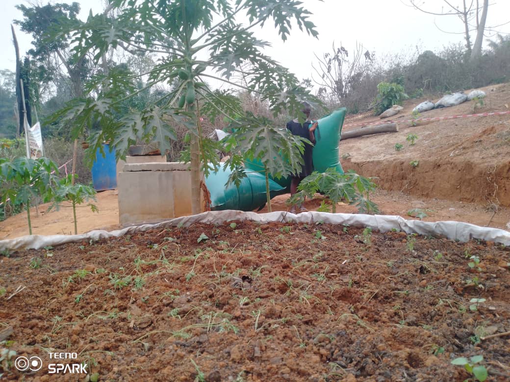 RichardMunang's tweet image. Through our work in #Cameroon whole-of-society approach is used and communities are building #biodigesters for clean cooking and sustainable farming, while creating jobs and fighting indoor pollution and deforestation.  #ClimateAction #WholeOfSocietyApproach @UN_Cameroon @mznaab
