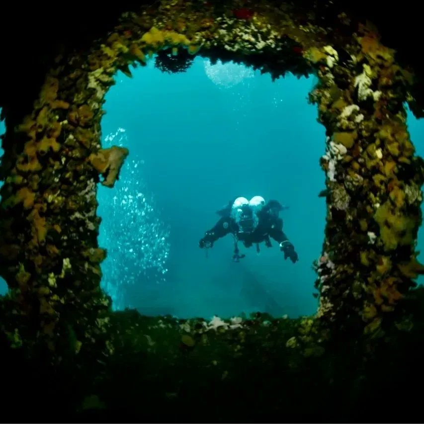 It's so hot here, I think it's time to go diving