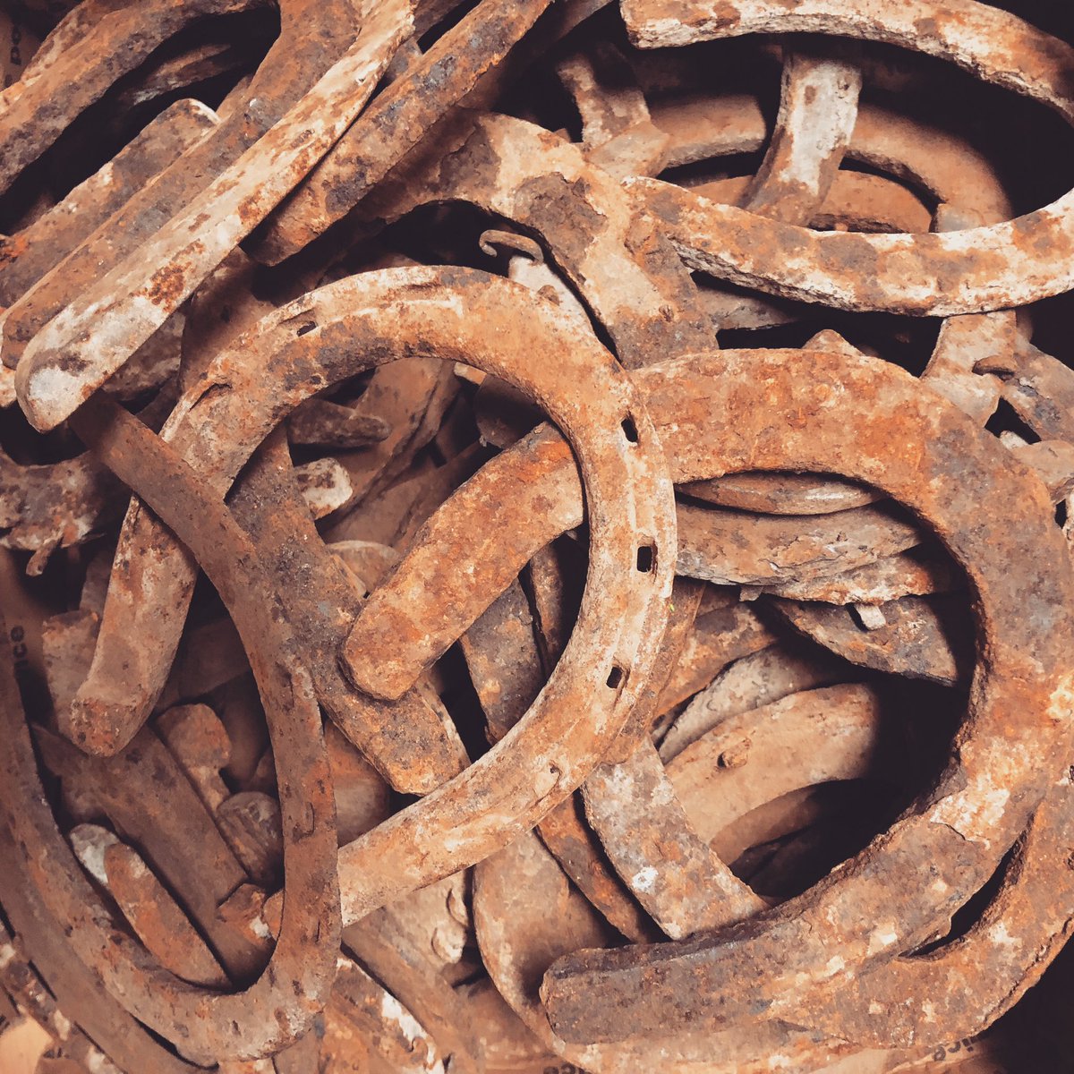 Yippee ki yay! Yes, I did indeed purchase a box lot of vintage horseshoes. Each one unique with a patina and story of its own. #vintagefinds #horseshoes #rusty #equine #walldisplay #doorknockers #horses #vintagehorseshoes #rustymetal #lakeviewgoods