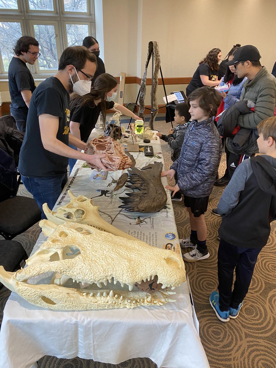 Mizzou Integrative Anatomy (@anatomymizzou) on Twitter photo Great to be back sharing paleo with the public! Thanks Young Scientists Expo for having us! <a href="/MizzouResearch/">Mizzou Research</a> <a href="/Mizzou/">Mizzou</a> <a href="/mumedicine/">MU School of Medicine</a> Great to be back sharing paleo with the public! Thanks Young Scientists Expo for having us! <a href="/MizzouResearch/">Mizzou Research</a> <a href="/Mizzou/">Mizzou</a> <a href="/mumedicine/">MU School of Medicine</a>