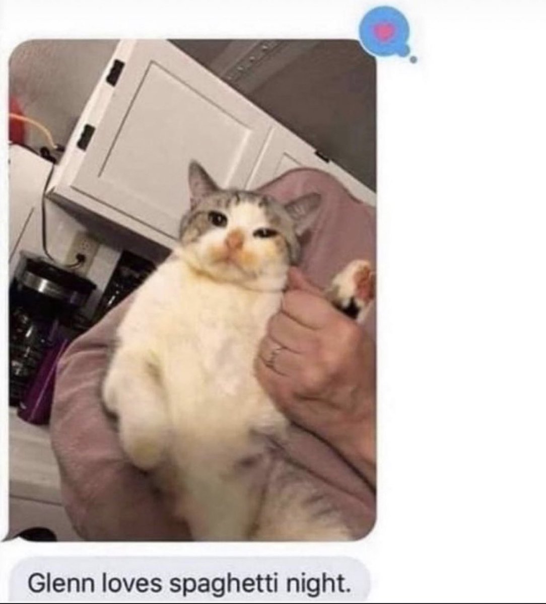 Posts Of Cats (@postsofcats) on Twitter photo 