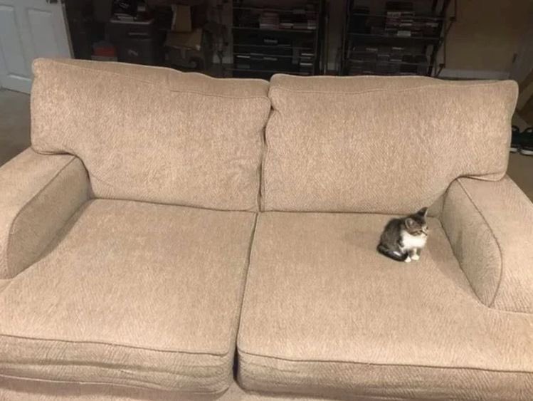 Yo, esperando a que confiesen que quieren ser mis amigos cuando recién llegué al rol.