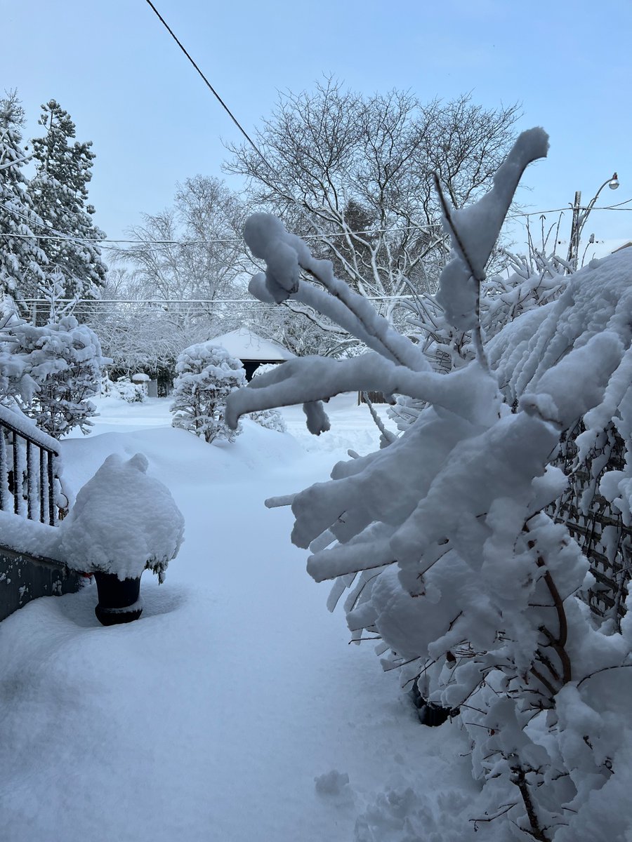 Amit Atrey tweet media