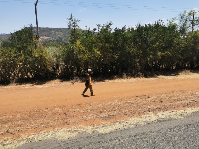 g_ladisa's tweet image. Walking alone.
#Kenya #Mombasaroad