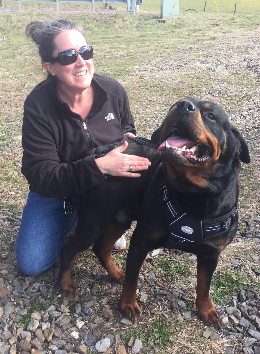 We are thrilled to say RHR ZOOS, now Saxon, went to his furever home today!  It is bittersweet for me as he was my foster, but I know he will be very loved and have a great life! #Rottweiler #Adopted #FureverHome #Rescuedog #AdoptDontShop #FostersSaveLives #HappyLife #AdoptionDay