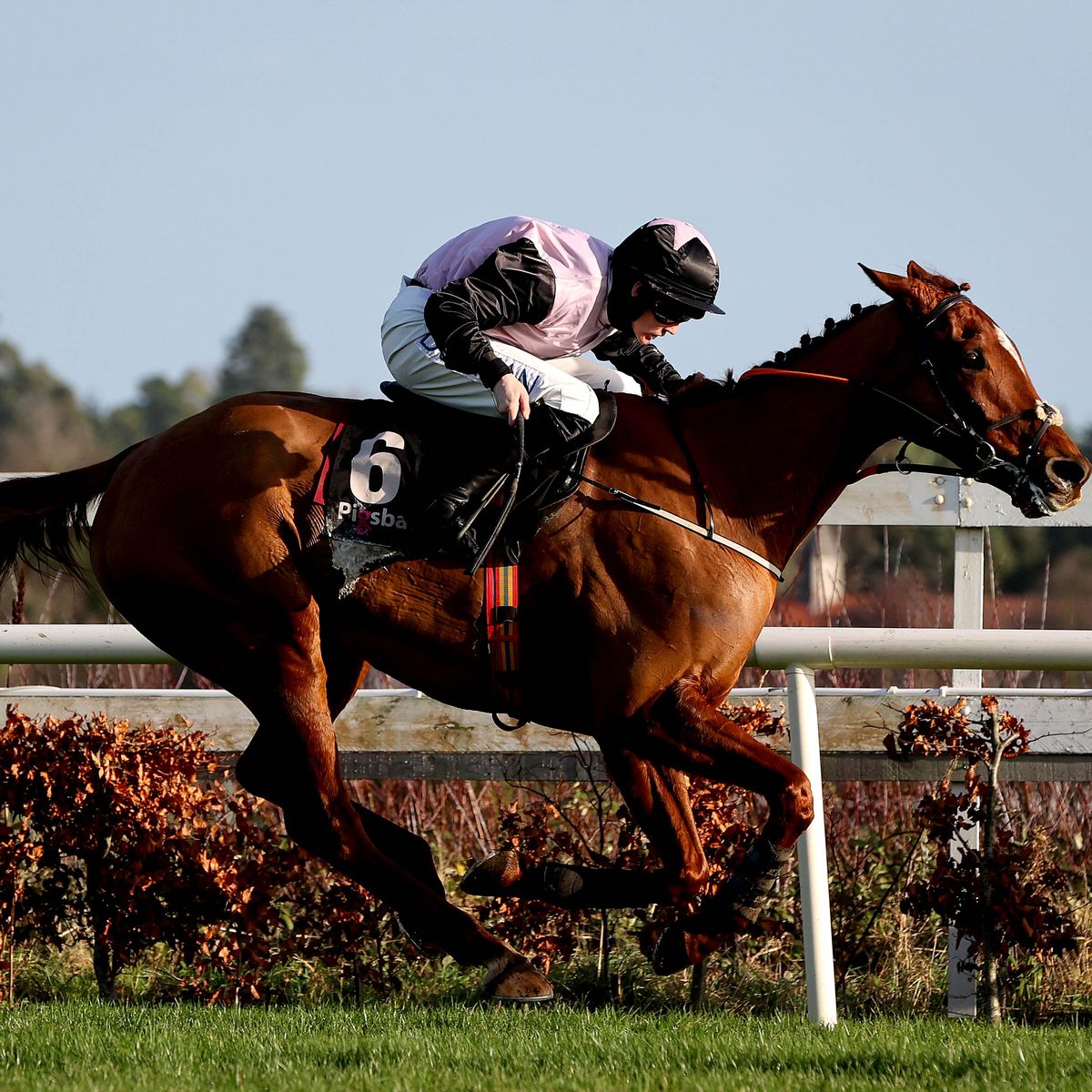 💷 If IRISH POINT &amp; JOURNEY WITH ME both Win for team Robcour at NAAS today I'll give £50 CASH to one of you Lucky People!! 🥇 🇮🇪

To Enter: 👇

1️⃣ RT this Tweet
2️⃣ Follow <a href="/racingblogger/">Stephen R Power</a> 

🚨 instagram.com/racingblogger

#CheltenhamFestival #Motd #Win 🏇