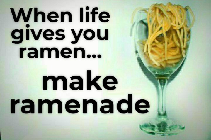 Phoenix Elgato AKA Phoenix The Cat (@phoenix_elgato) on Twitter photo 