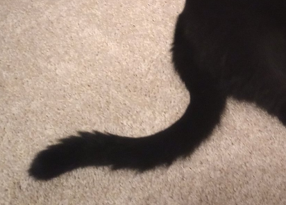 Wettfly's tweet photo. @CagleCats is he... you know, https://t.co/v9aVV0Nqfk