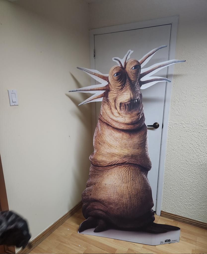 Explain why I have this then