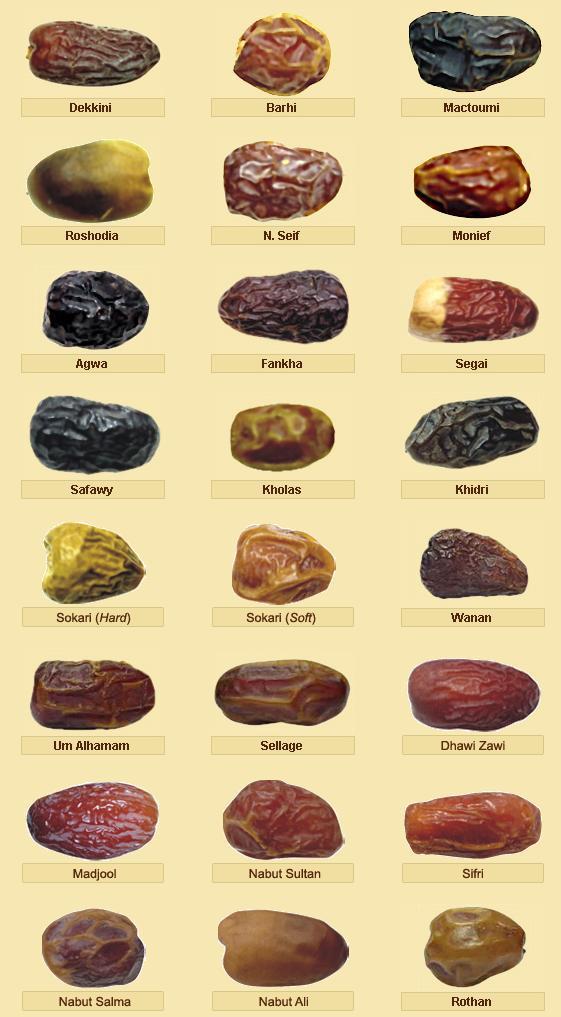 What's your fav type of date? Mine is Safawy🤤