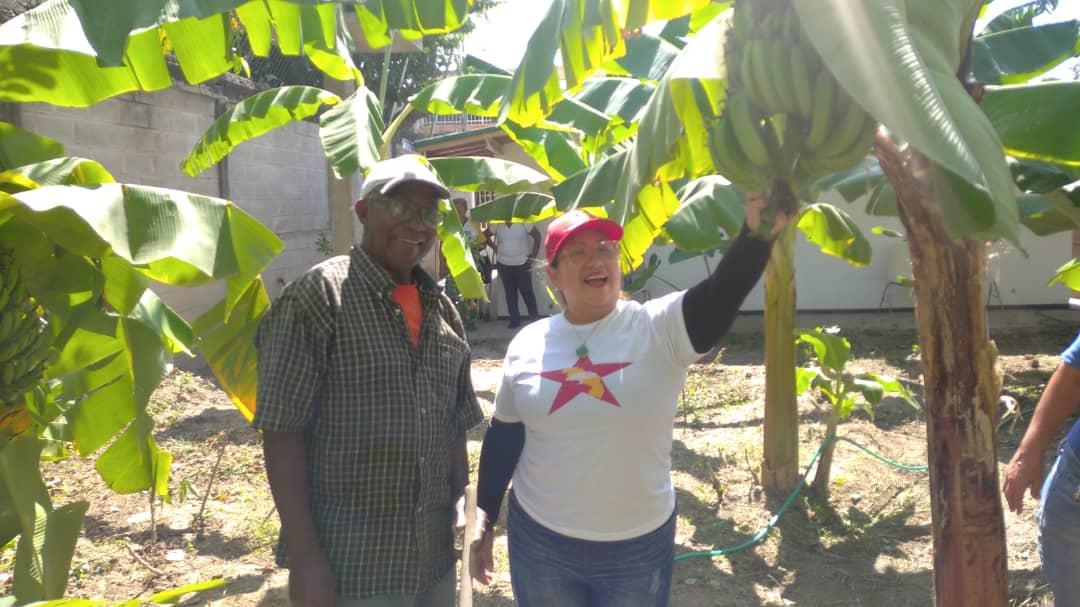 Supervisión del CPT José Antonio Paez 2 y 24 de Junio del <a href="/AsicSocialfla/">ASIC SOLIDARIDAD SOCIAL</a> Mcpio Francisco Linares Alcántara, junto a los BRICOMILES, Comités de Salud, UBCH, Poder Popular y el Equipo de Salud en la  Activación de Patios Productivos, Ejecutando Estrategias Comunales.