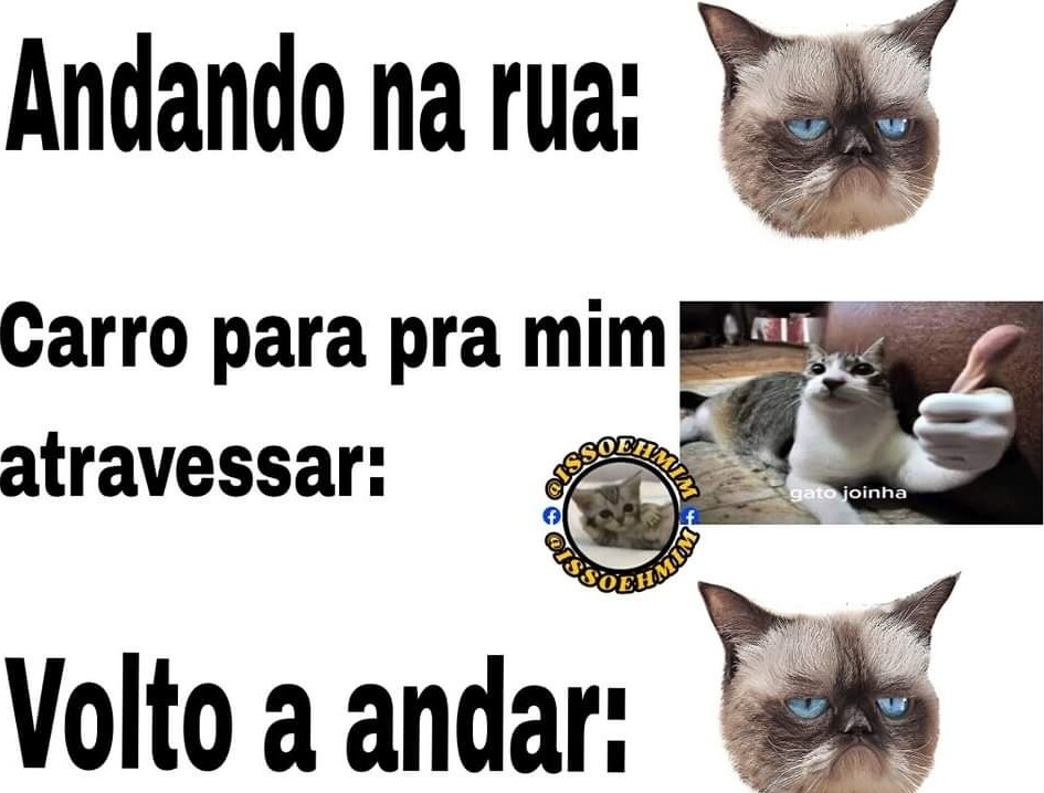 Shitpost só que de verdade (@shitpostverdade) on Twitter photo 