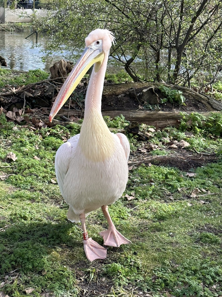 Cath Colleypriest tweet media