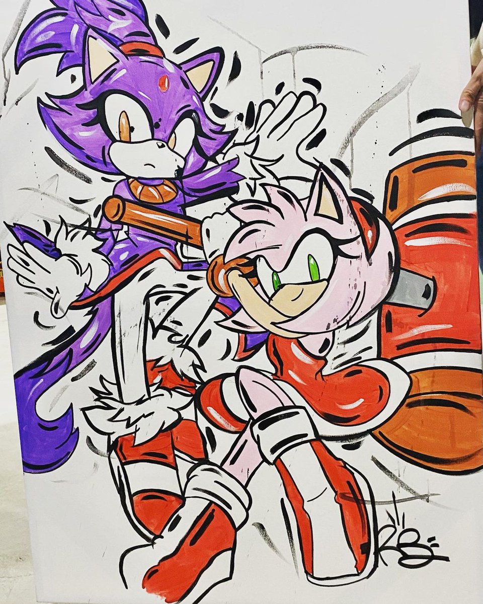 Sonamy Boom  Sonic and amy, Sonic boom, Hedgehog art