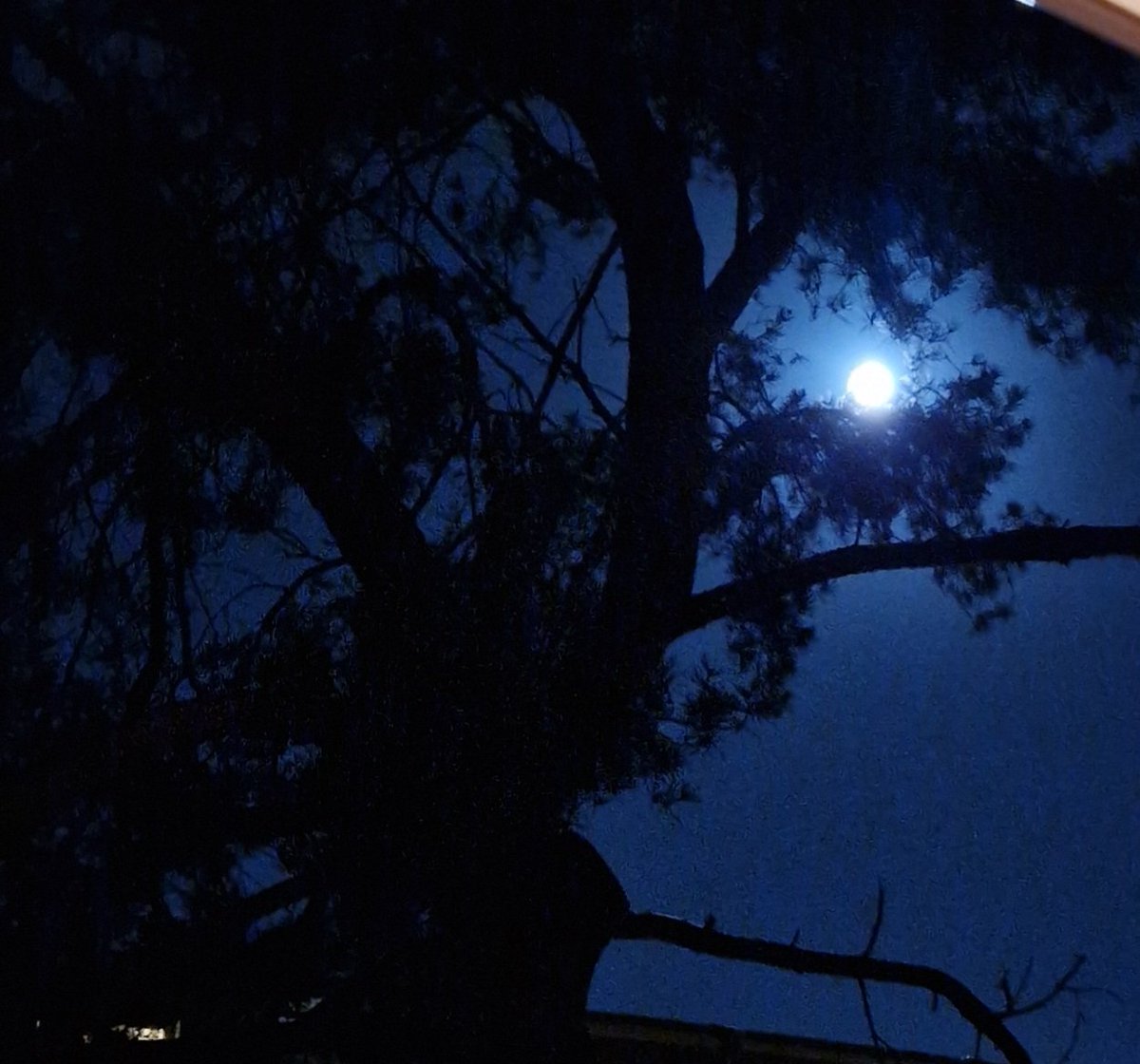 Gute Nacht, ihr Lieben. 🐸