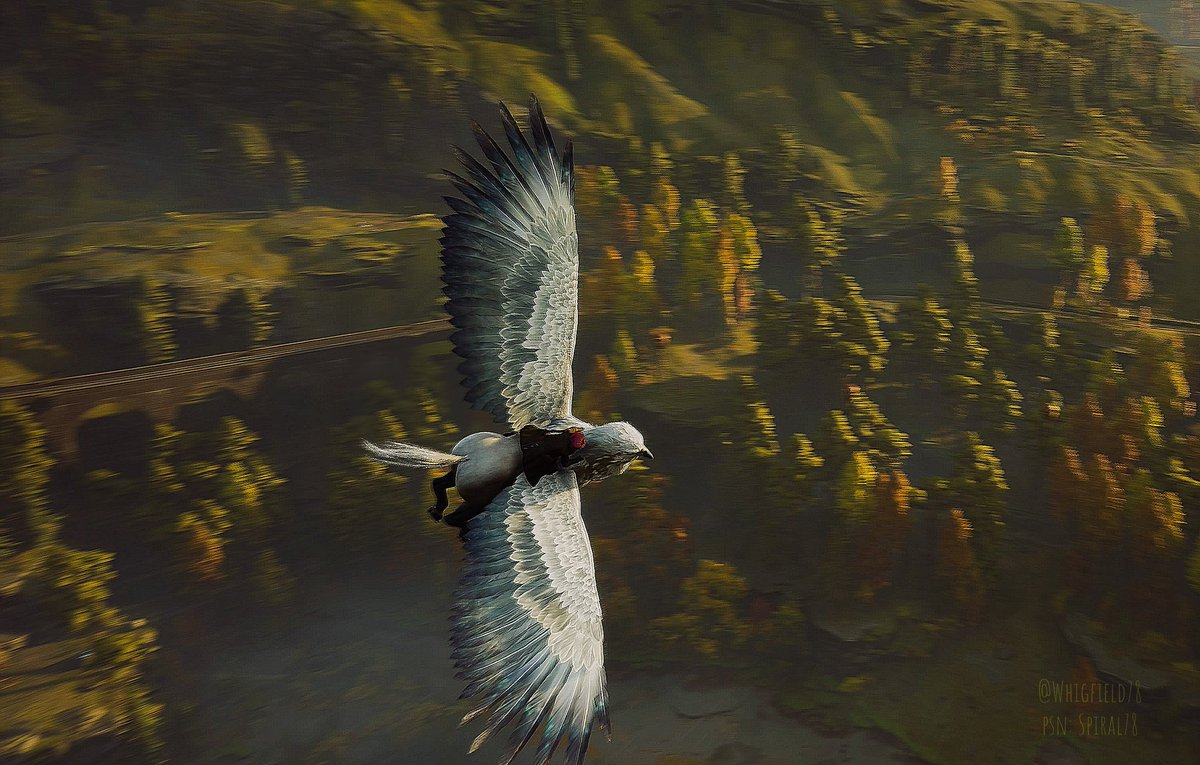Whigfield78's tweet photo. #TCCInMotion hope this one counts. #HogwartLegacy @HogwartsLegacy https://t.co/98nmcZhBny