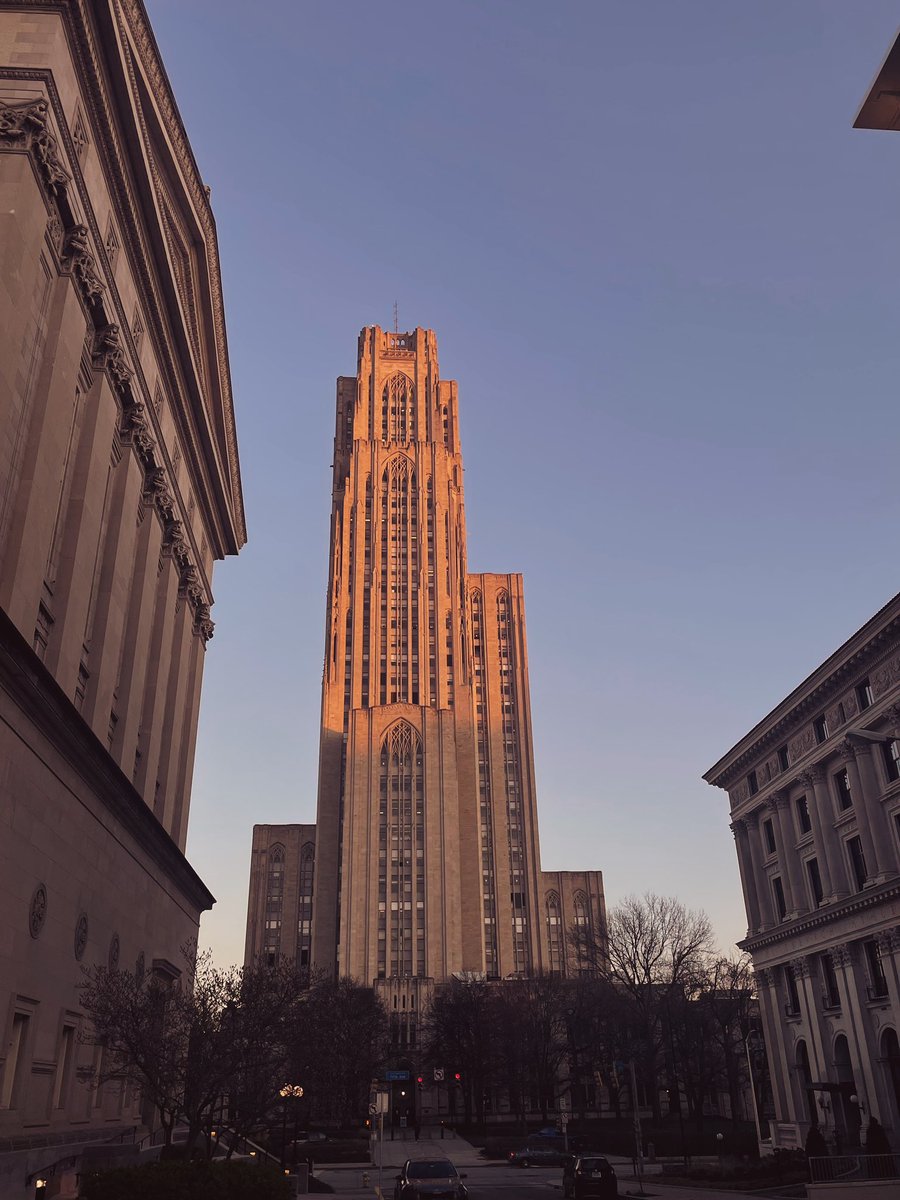 Anya Vinichenko tweet media