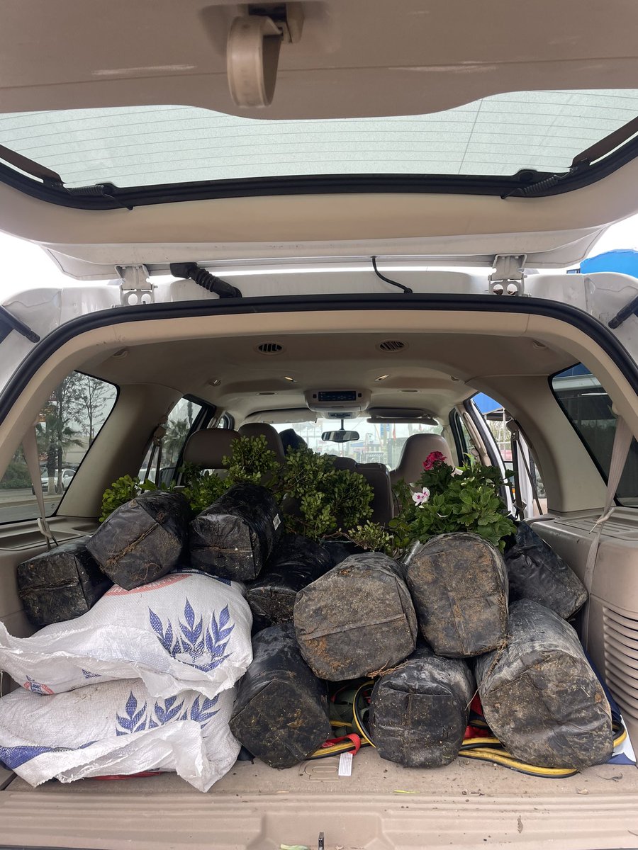 zcdb11's tweet photo. De regalo de cumpleaños mi familia me llevó a comprar plantas para mi nuevo hogar 🥺 y así terminé https://t.co/hGP0evnlhK