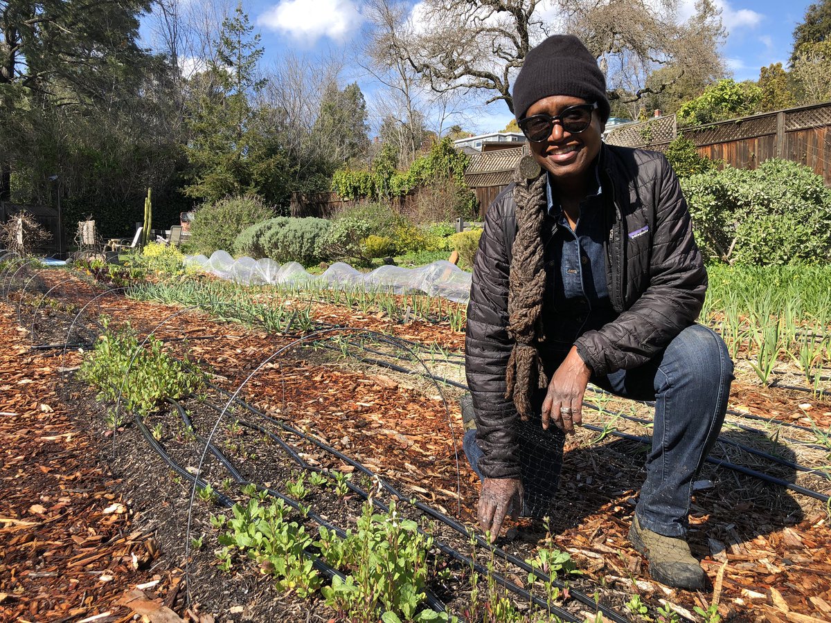 RaquelMDillon's tweet image. Many backyard gardeners are puzzled by this wet &amp;amp; cold weather. But not urban farmer Yolanda Burrell. She shared winter gardening tips with @KCBSRadio during a break in the rain. Listen! 🎧🥬📻 audacy.com/kcbsradio/list… And check out Pollinate Farms 🐝 🥗 💦 pollinatefarm.com