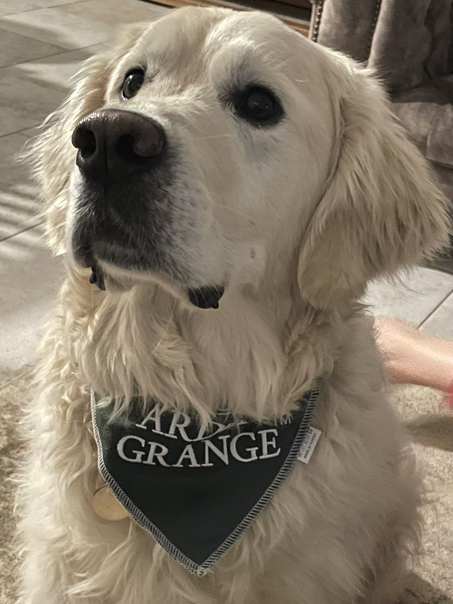 abi_wright's tweet image. Thank you @ArdenGrange for my lovely gift! Don’t I look handsome? The team @spabreaks and I loved supporting you on your stand today @Crufts Good luck to everyone in the draw to win a spa break!