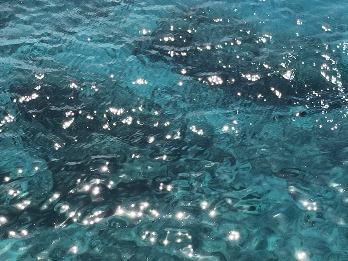 Some blue #Curaçao: possible part of man and the biosphere ⁦<a href="/UNESCO/">UNESCO 🏛️ #Education #Sciences #Culture 🇺🇳</a>⁩ ⁦<a href="/NLatUNESCO/">Netherlands at UNESCO</a>⁩