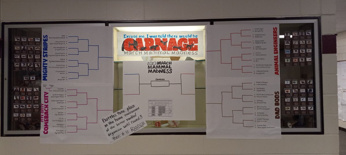 Even in the midst of a crazy end of trimester week students were excited to fill in brackets and post our hall display. Now we await the battles! #2023MMM