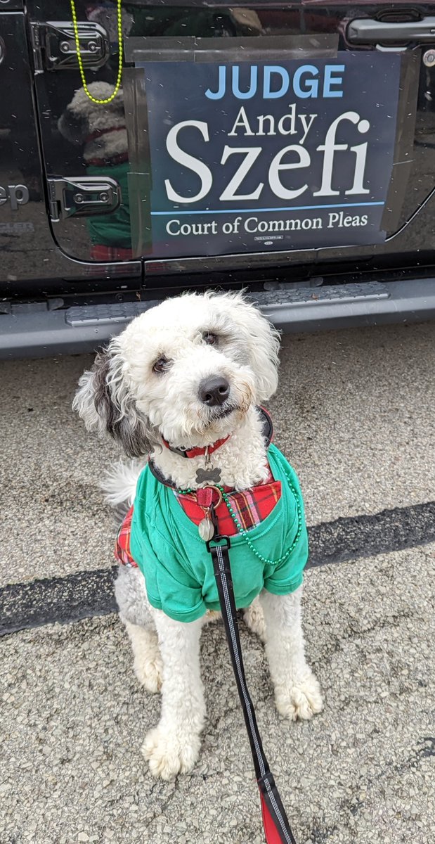andy4judge's tweet photo. We braved the cold and had a great time at the Pittsburgh St. Patrick's Day Parade this morning! #KeepJudgeSzefi https://t.co/j1iPgqCCRQ