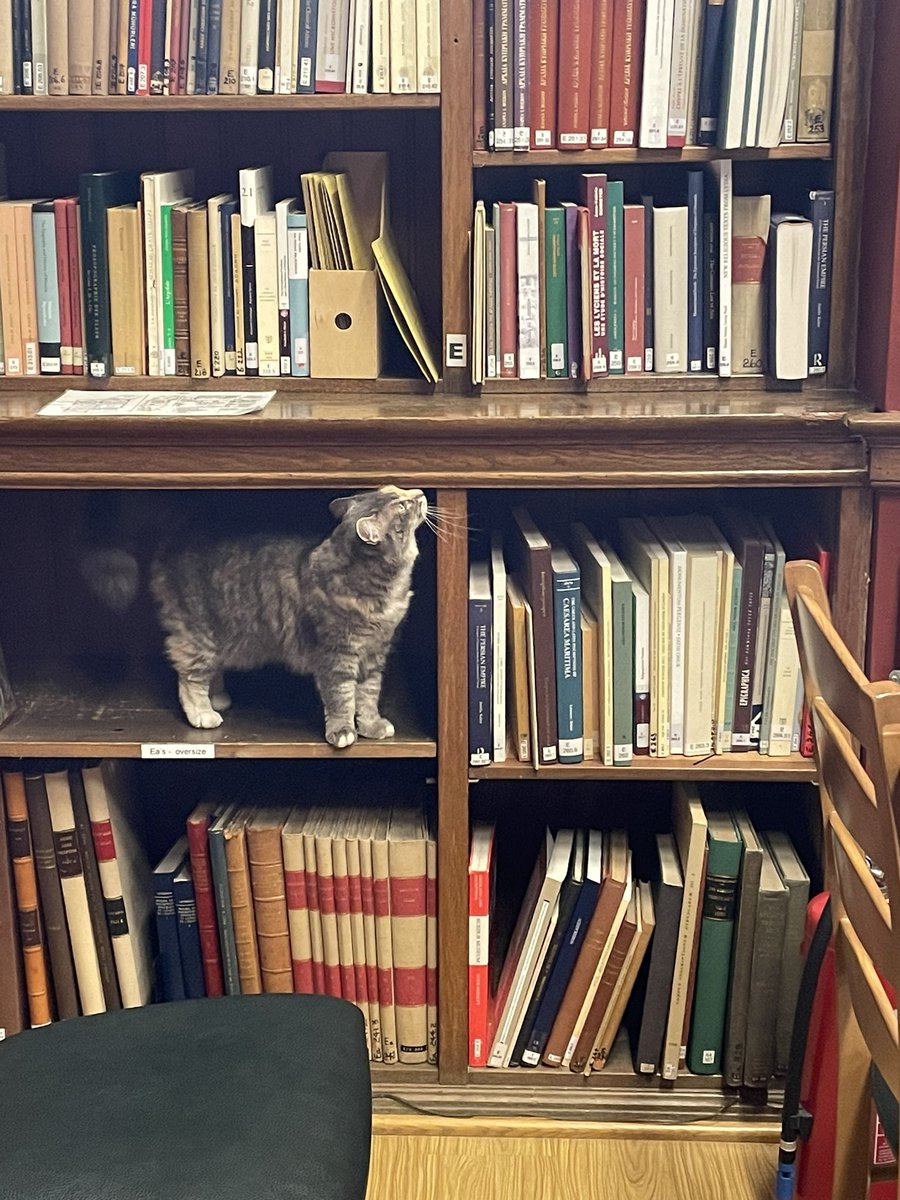 BeyondBex's tweet image. Great discussion today at @BSAthens re: Journeys and audience participation excellent! Put us through the ringer with questions re: #guidebooks and any link to #overtourism. 
Thank you for inviting me to take part - and to the @ukingreece for co-arranging.
Best part = cat!