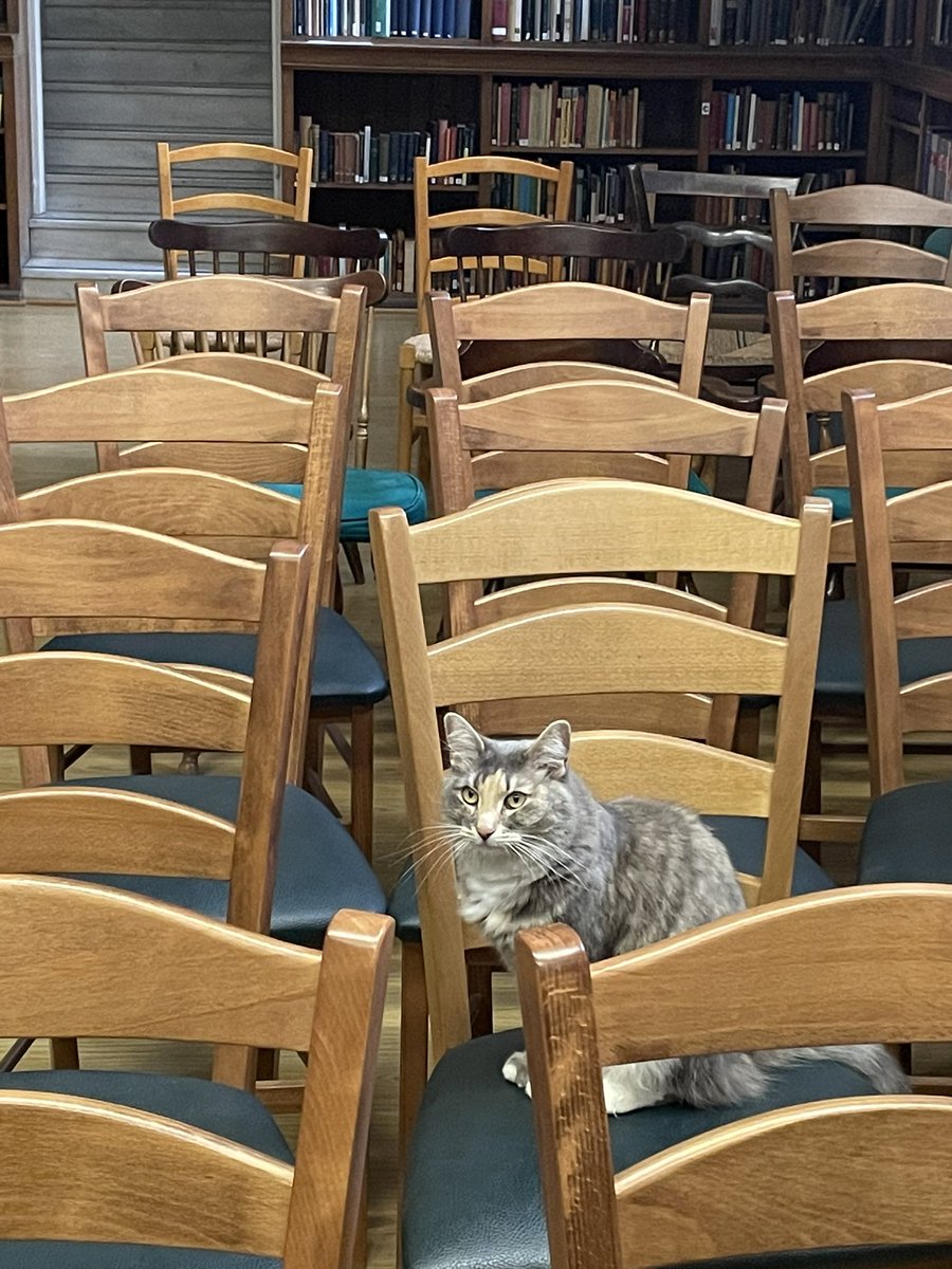 BeyondBex's tweet image. Great discussion today at @BSAthens re: Journeys and audience participation excellent! Put us through the ringer with questions re: #guidebooks and any link to #overtourism. 
Thank you for inviting me to take part - and to the @ukingreece for co-arranging.
Best part = cat!