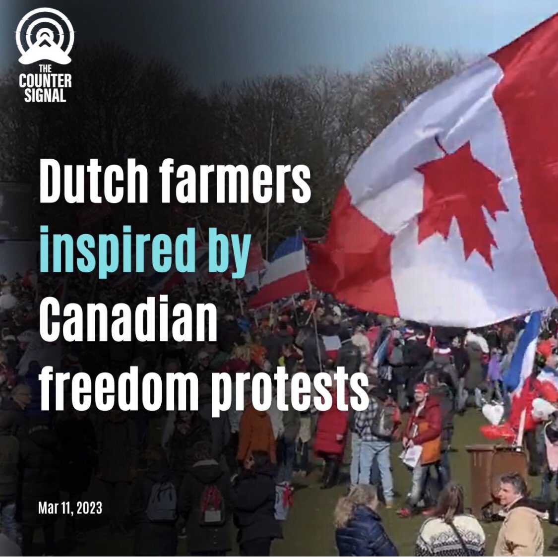 Raise your hand if you stand with the Dutch farmers fighting for their freedom. ✋🏼

MORE HERE: bit.ly/3ZE3FGh
