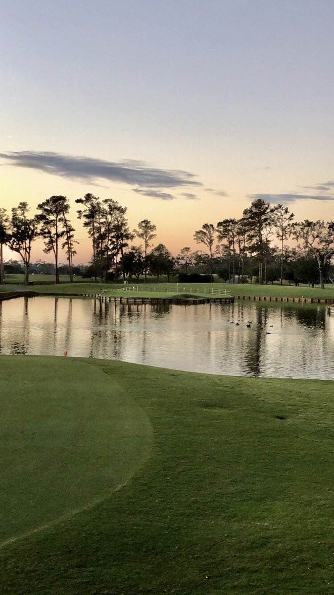 Tim Schrage tweet media