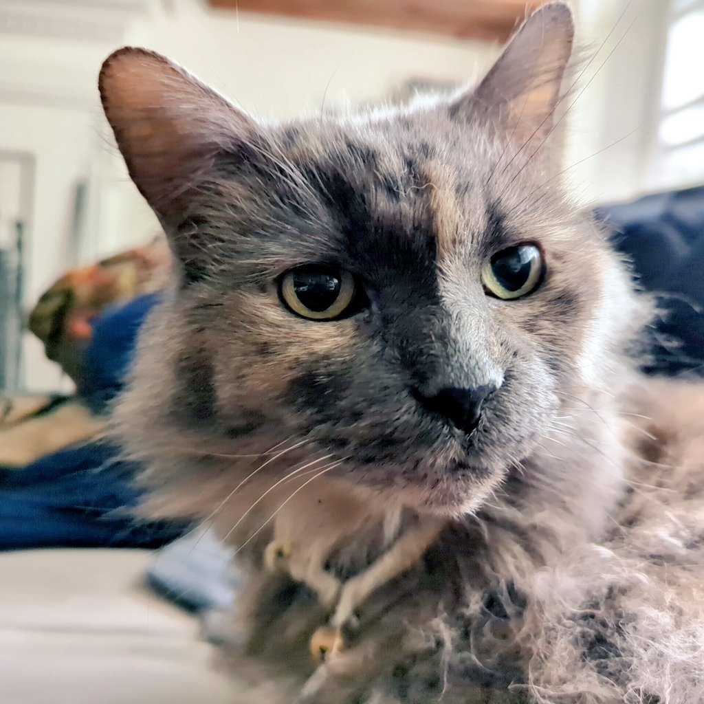 Greg Milton and 42 others tweet media