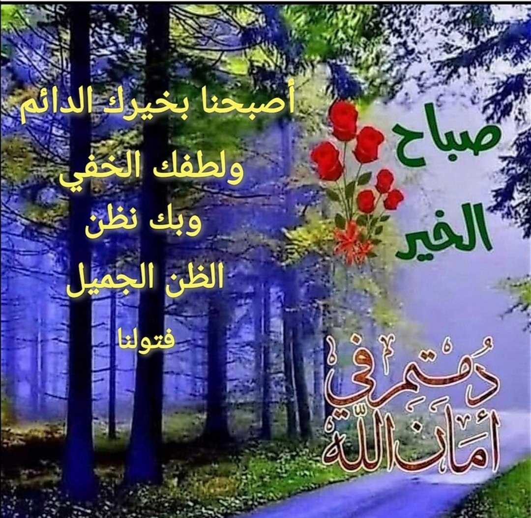 عواطف ابو زيد tweet media