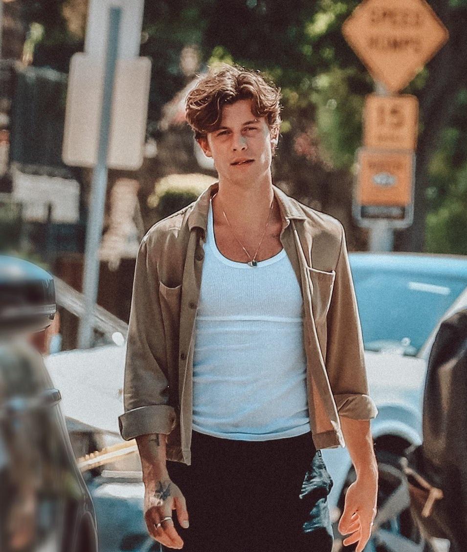 shawposts's tweet image. shawn mendes.