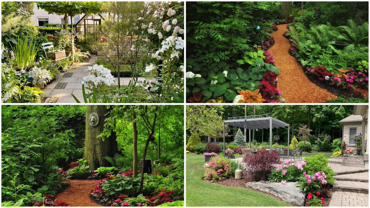 AllForGardening's tweet photo. Garden Answer Highlights: Beautiful Gardens Ep 8 ๐ฟ
#GardenAnswer #GardenAnswerHighlights #Gardening #VLog
https://t.co/3r8t3Srmas https://t.co/Ge37KsUUYt