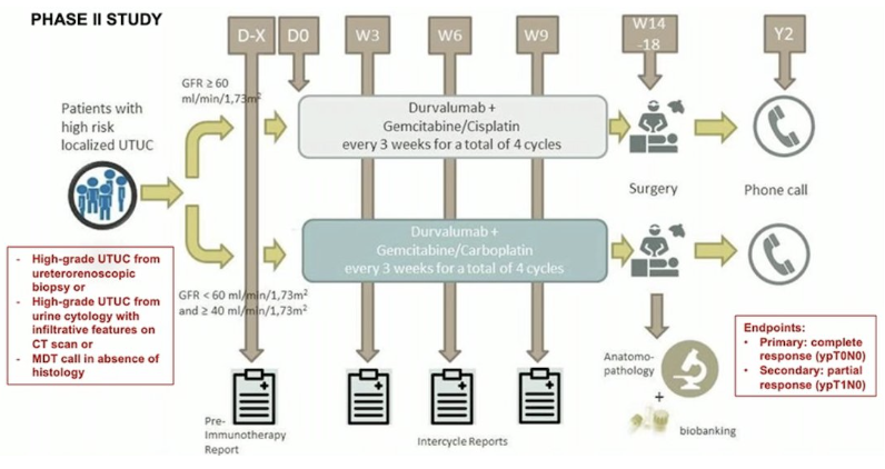 UroToday.com (@urotoday) on Twitter photo State-of-the-Art Lecture: Evidence for neoadjuvant treatment before radical nephroureterectomy. Presented by <a href="/ThoSeisen/">Thomas Seisen</a> <a href="/HopPitieSalpe/">Hôpital Pitié-Salpêtrière AP-HP</a>. #EAU23 written coverage by <a href="/zklaassen_md/">Zach Klaassen</a> <a href="/GACancerCenter/">Georgia Cancer Center</a> > bit.ly/3YVg2Nj <a href="/Uroweb/">European Association of Urology (EAU)</a> State-of-the-Art Lecture: Evidence for neoadjuvant treatment before radical nephroureterectomy. Presented by <a href="/ThoSeisen/">Thomas Seisen</a> <a href="/HopPitieSalpe/">Hôpital Pitié-Salpêtrière AP-HP</a>. #EAU23 written coverage by <a href="/zklaassen_md/">Zach Klaassen</a> <a href="/GACancerCenter/">Georgia Cancer Center</a> > bit.ly/3YVg2Nj <a href="/Uroweb/">European Association of Urology (EAU)</a>