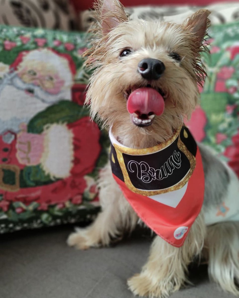 Como cuando el tiempo pasa y acepto que lo más cercano que voy a tener a un nieto es a Bruno que hoy cumple 5 años